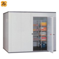 New design Mini Frozen Cold Room/Cold Storage For Meat And Fish