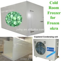 cold room freezer to store frozen okra